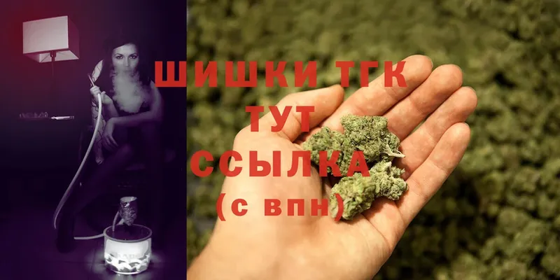 Конопля SATIVA & INDICA  Новомичуринск 